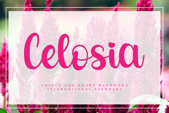 Unleashing Creative Potential with the Celosia Typeface